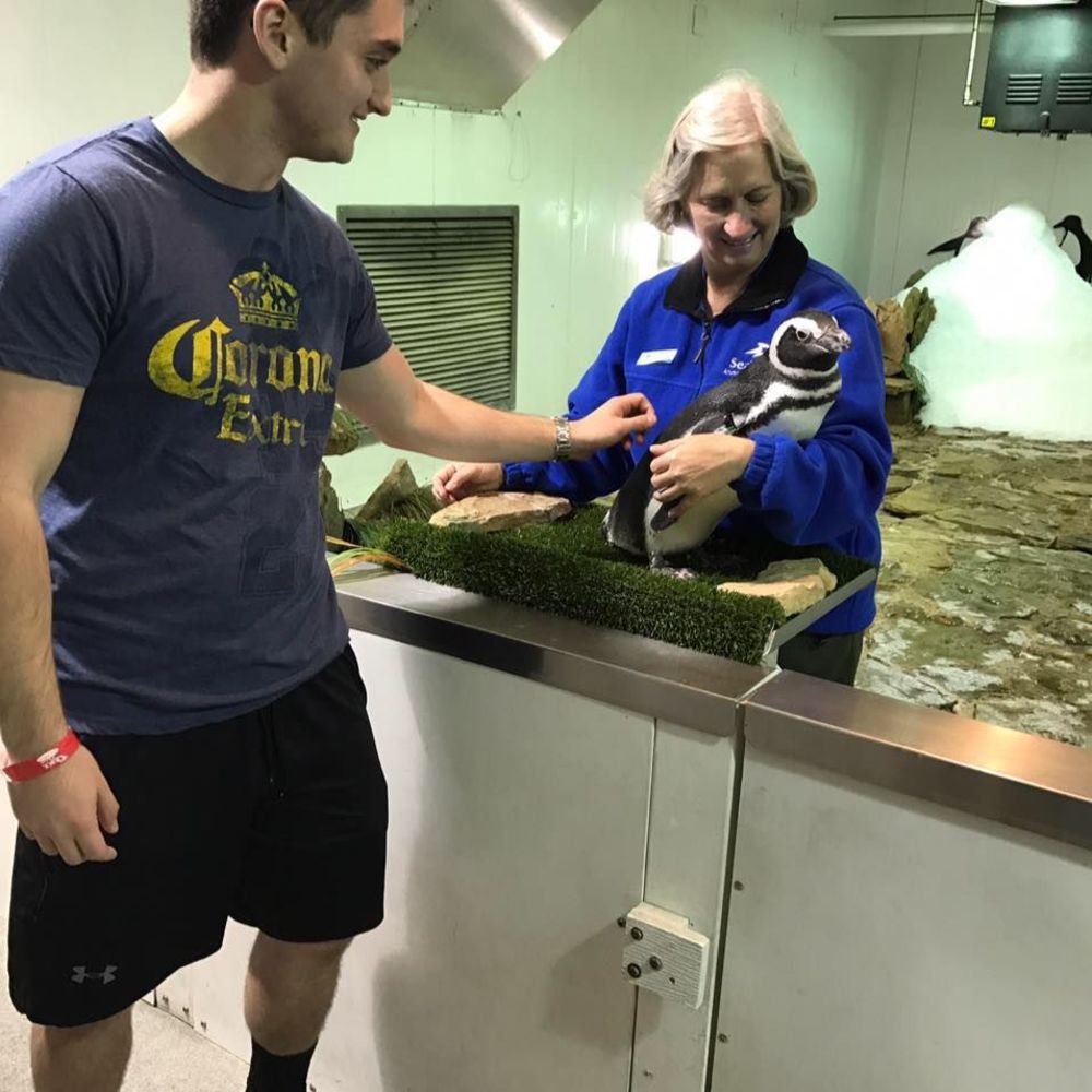 Meet your Posher, Brandon